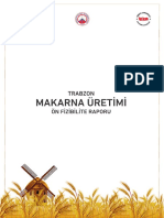 Makarna Uretimi On Fizibilite Raporu