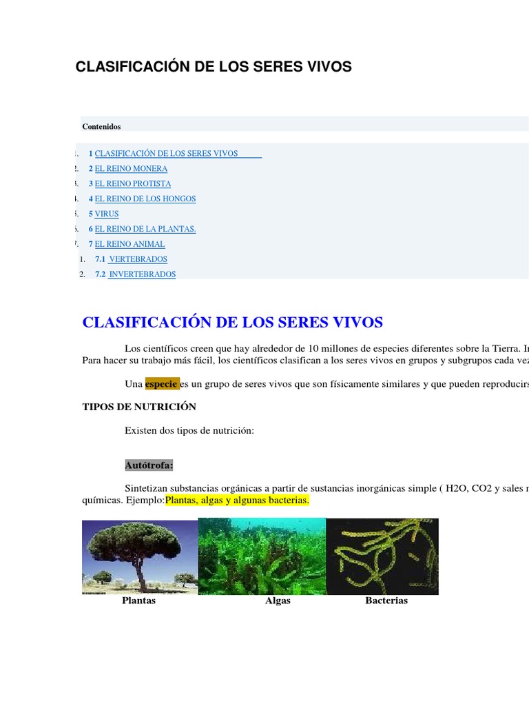 Clasificación de los Seres Vivos | PDF | Plantas | Hongo