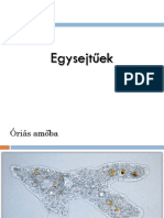 FajfelismersVrusokBaktriumokEgysejtek.pdf