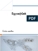 FajfelismersVrusokBaktriumokEgysejtek PDF