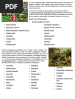 La Botánica