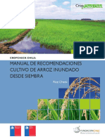 Manualarroz_baja.pdf