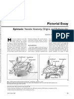 Pictorial Essay: Epistaxis