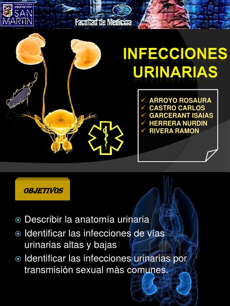 Infecciones Urinarias PDF | PDF | Urología | Enfermedades y trastornos