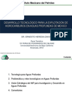 PROBLEMATICA  Y RIESGOS DIAPO 9.pdf