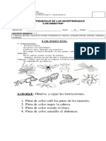 Guía de Aprendizaje de Los Invertebrados