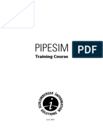 PIPESIM Training Course