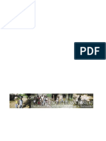 03-Presentacion-Dossier-Unesco---Palenque-de-San-Basilio.pdf