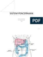 Sistem Pencernaan