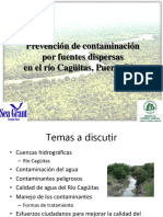 Cuencas Hidrogrc3a1ficas y La Contaminacic3b3n Rio Caguitas