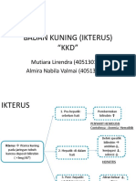 Ikterus dan Penyakit Hati