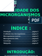 A Utilidade Dos Microrganismos