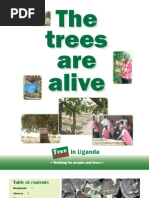 Download The Trees Are Alive by Straight Talk Foundation SN36171872 doc pdf