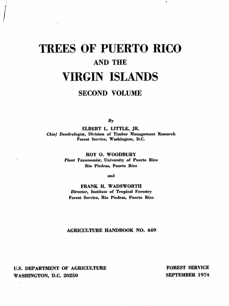The Caribbean forester. Forests and forestry Caribbean Area Periodicals;  Forests and forestry Tropics Periodicals. Fig. 3.—Young jorest of the  Tabonuco Type 2 years after improvement cut- ting showing the dense flush