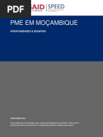 Relatório PME Em Moçambique Oportunidades e Desafios1