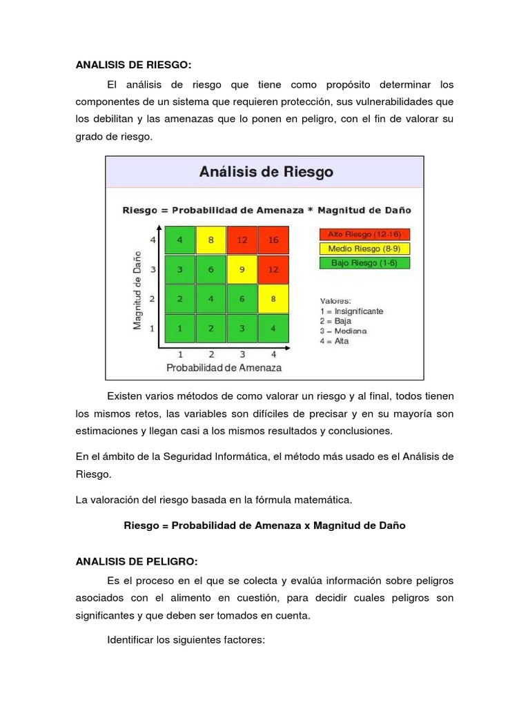 Análisis de Riesgo y Vulnerabilidad en Seguridad | PDF | Riesgo ...