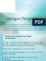 Jaringan Pengangkut