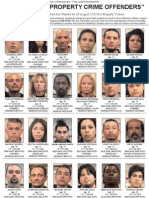 Most Wanted Property Crime Offenders - August 2010