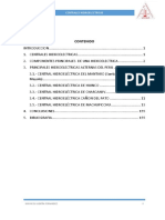 centrales hidroelectricas.docx