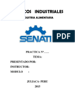 Caratula Senati 1