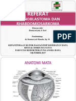 Referat Mata Hams