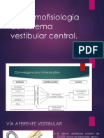 Anatomofisiologia Del Sistema Vestibular Central