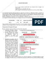 ANALISI D GASES.pdf
