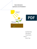 Guía de Laboratorio