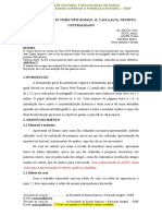  Template Trabalhos Academicos FAEF