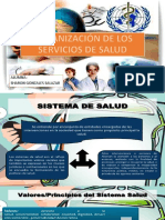 Organización de Los Servicios de Salud