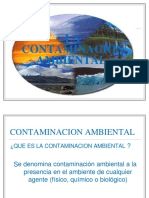 La Contaminacion Ambiental