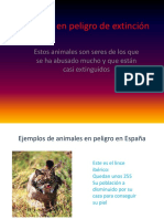 Animales en Peligro de Extincion