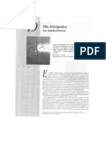 Capitulo 19 Artrópodos - Queliceriformes.pdf