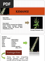 PPT KEMANGI
