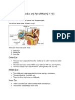 Human Ear and Role of Hearing in HCI