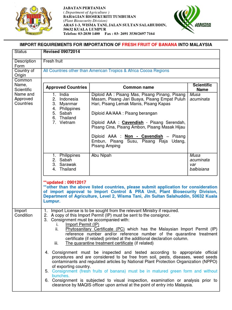 Bananas Word Pdf Banana Fruit