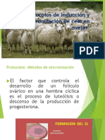 Protocolos de Inducción y Sincronización de Celo En ovejas
