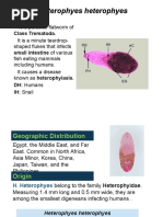 Trematodes Midterms