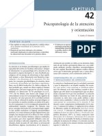 Atencion y Orientacion Vallejo PDF