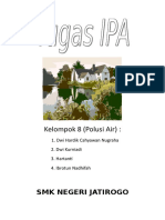 Is Ipa