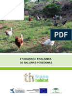 Gallinas Ponedoras Ok