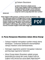 Energi Dalam Ekosistem