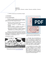 bloque-1-cap-5-tema-5.-fisiologia-hepatica.pdf