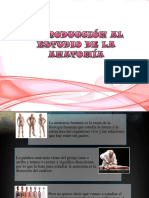introduccionalaanatomia-140415192617-phpapp02