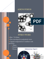 Adenovirus