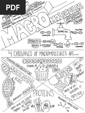 macromolecules sketch notes