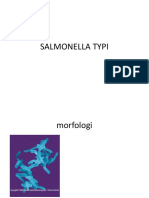 Salmonella Typi