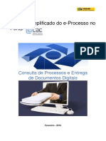 RF manual-e-processo-visao-contribuinte-vs3.pdf