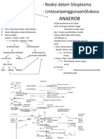 2B - Katabolisme Karbohidrat