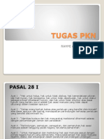 Tugas Pkn Pasal 28 i